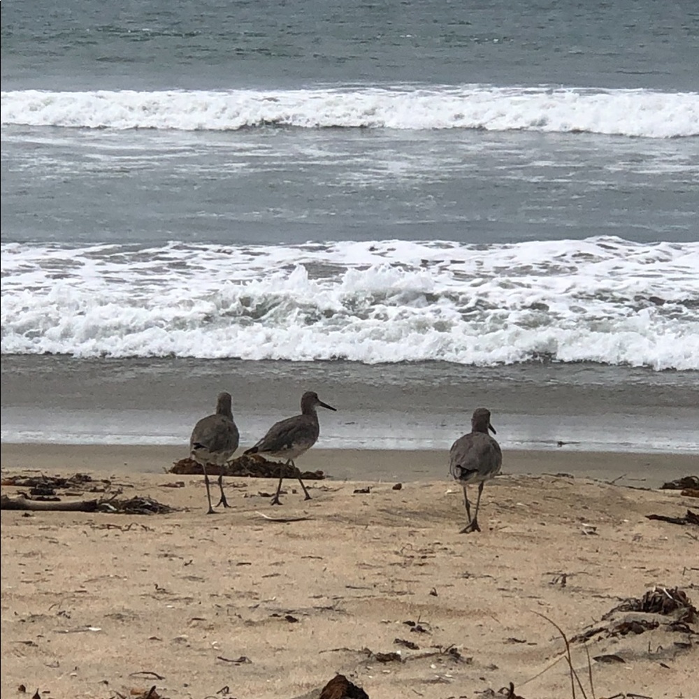 Welcome - Picture 5 of 14